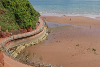 Roundham Head, Brixham, South Devon