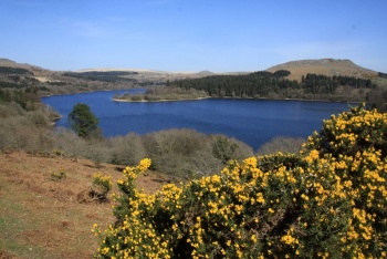 Burrator Reservoir, Plymouth, South Devon